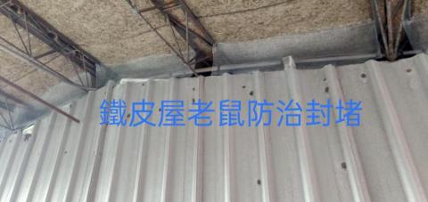 安逸環保服務有限公司 - 台北市區鐵皮屋封堵老鼠防治