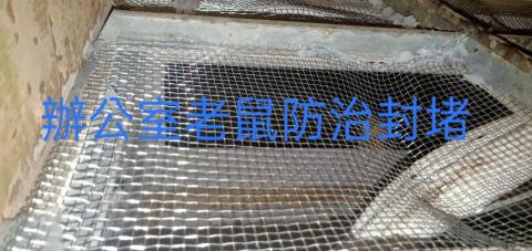 安逸環保服務有限公司 - 某某公司辦公室老鼠進出洞口封堵