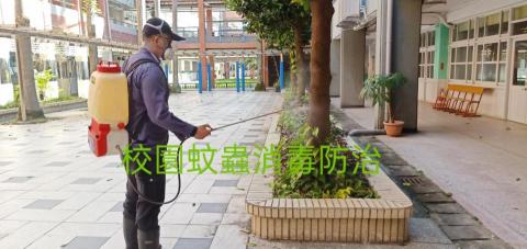 安逸環保服務有限公司 - 學校蚊蟲、蟑螂一般蟲害消毒防治