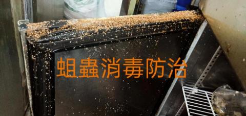 安逸環保服務有限公司 - 某某餐廳蟲害防治