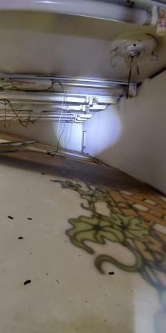 驅蟲氏除蟲消毒工作室 - 老鼠出沒的洞口