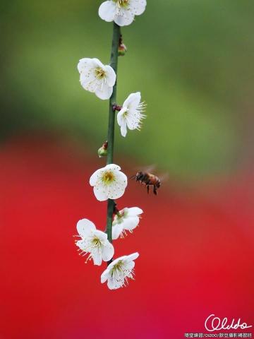 歐豆攝影短期補習班 - 