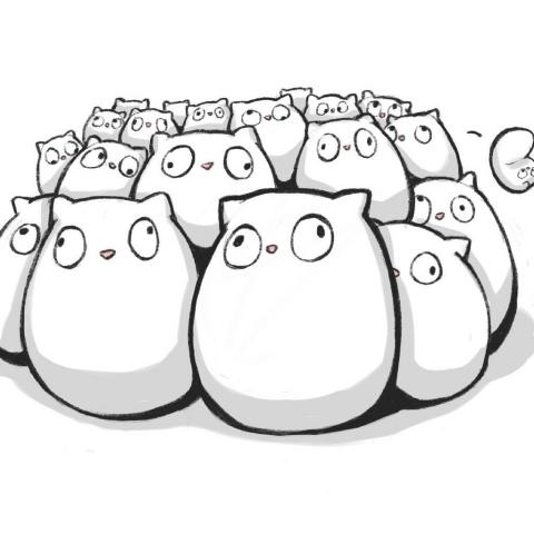 提供卡通劇場版服務的專家麻糬貓_MAJI cat 