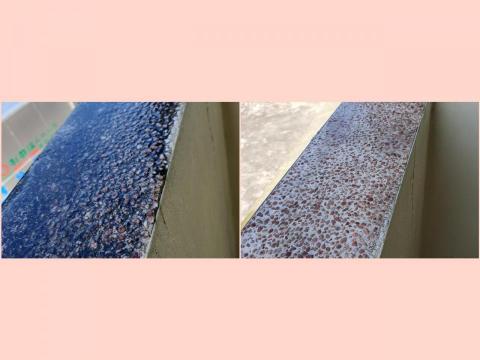 絨絨 潔淨家空間細緻  清潔社 - 女兒牆青苔 絨絨 潔淨家空間細緻  清潔社 - 女兒牆青苔