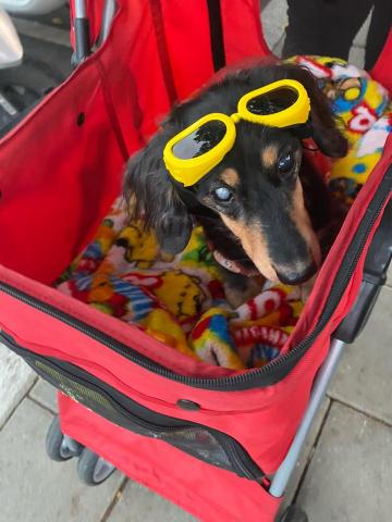 唯你wini - 小點出遊，太陽過大保護眼睛表面二次傷害