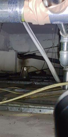 驅蟲氏除蟲消毒工作室 - 老鼠移動的洞口