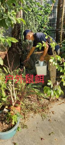 方舟環保科技 - 老鼠防治