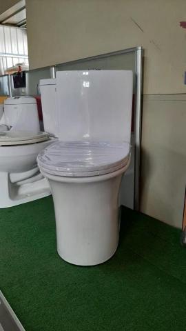 賴信維 - 龍天下單體馬桶