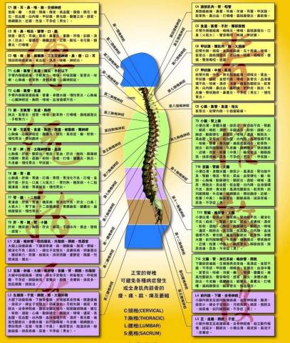 騰骨深層調理按摩 - 身體不適症狀對應圖