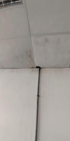 驅蟲氏除蟲消毒工作室 - 老鼠移動的路線 天花板不正常的破洞