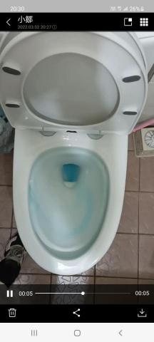 賴信維 - 龍天下單體雙龍卷沖水