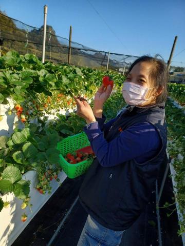 提供30服務的專家蘇元杏