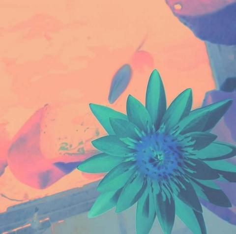 Daniel捷運學鋼琴笛簫音樂 - 自製音樂會小卡片 Part 2 !!!