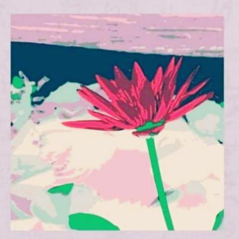 Daniel捷運學鋼琴笛簫音樂 - 自製音樂會小卡片