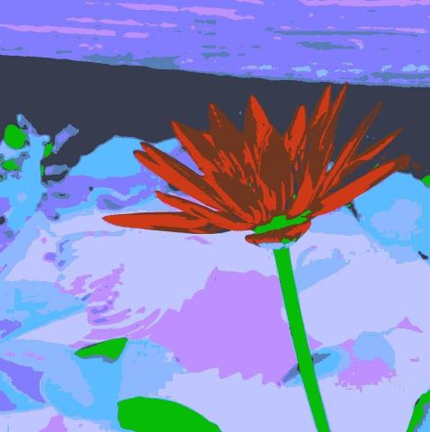 Daniel捷運學鋼琴笛簫音樂 - 歡迎恰詢教學、街頭藝人演出、節慶展演、演講、演奏會