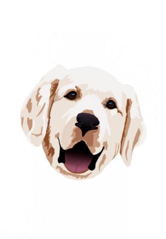 Tongtong - 寵物大頭照