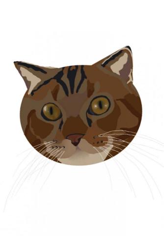 Tongtong - 寵物大頭照