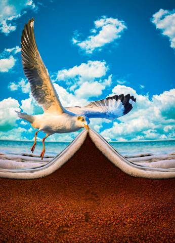 Patty - 該起床了～
我把海灘帶來囉～
到海邊看看海吧