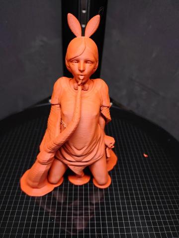 休學生的技能點數 -  休學生的技能點數 -