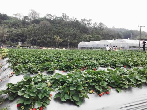 接案小手 - 部落格撰寫