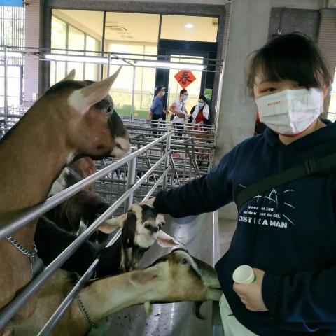 提供數學老師ptt服務的專家沈小姐