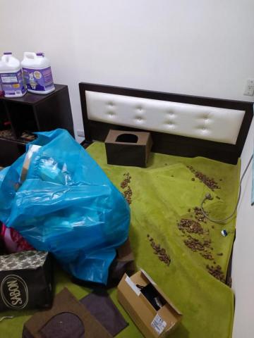 ✨乾淨寶寶個人工作室✨ - 上面全都是貓毛貓屎一堆垃圾