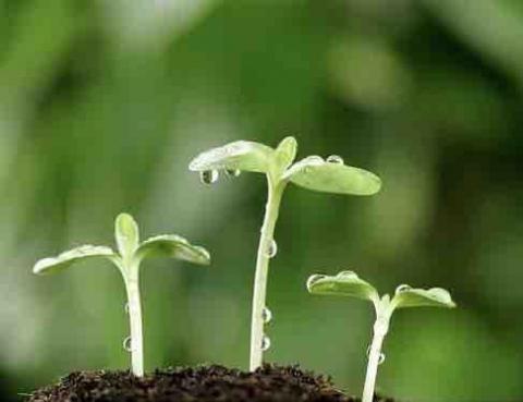 林口正音老師推薦家教老師｜合格師資｜多年私校經驗