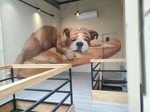 清信水電 - 裝修工程