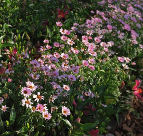 凃庭瑋 - 靜態攝影