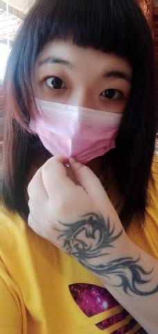 提供寄養犬服務的專家宜蘭美瞳