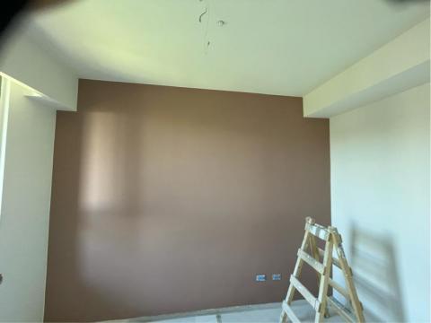 新美工程 - 乳膠漆跳色主牆