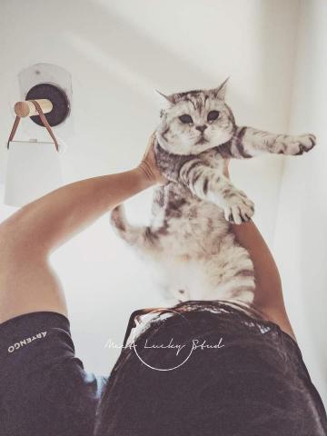 Meet Lucky Studio 手機攝影 - 家庭寵物寫真 Meet Lucky Studio 手機攝影 - 家庭寵物寫真