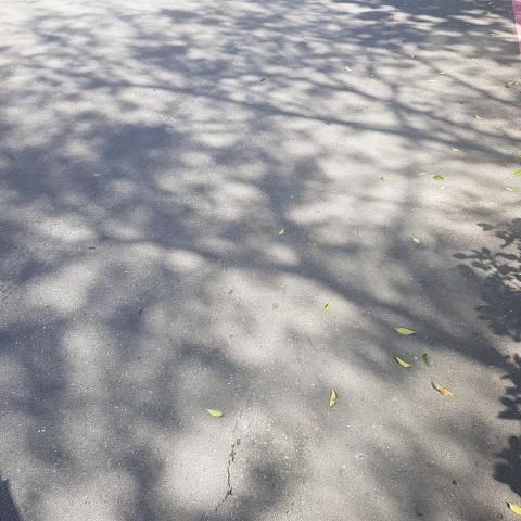 提供煮飯服務的專家Joejoe