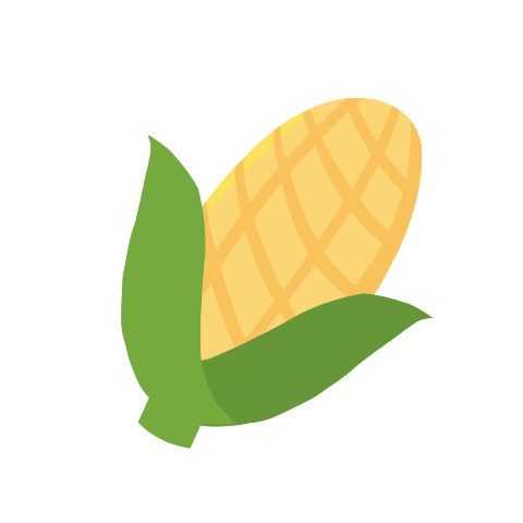 提供路由器router服務的專家林裕敏