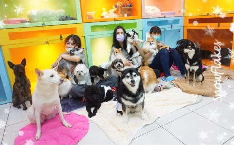 揪甘心寵物旅館 - 