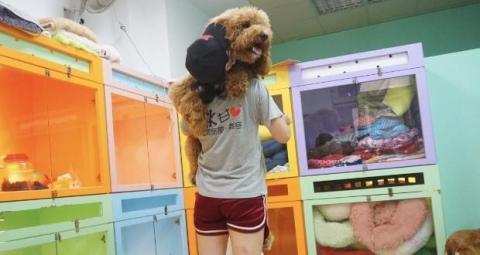 揪甘心寵物旅館 - 