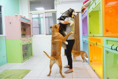 揪甘心寵物旅館 - 