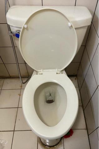 極簡水電維修行-五星卓越專家《於本平台暫停服務》 - 於本平台的第七單維修
馬桶蓋板及沖水把手更換