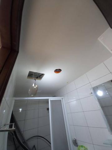 js創意噴塗 - 桃園平鎮 色系玫瑰白