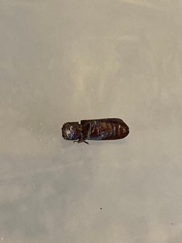 海呈有限公司 - 