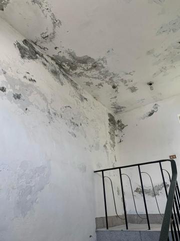 大衛室內油漆 - 