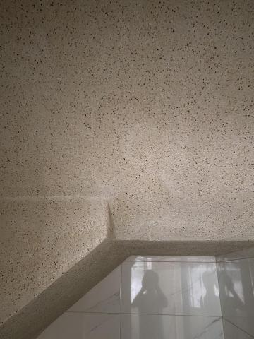 提供批土服務的專家陳志祥