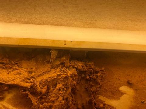 海呈有限公司 - 