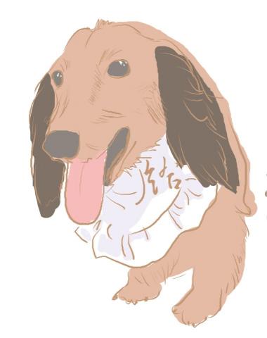 Yz Art Lab - 寵物似顏繪（電繪寫實風格）