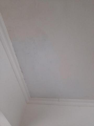 西瓜潘 -  西瓜潘 -