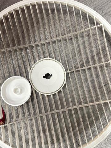 李小姐 -  李小姐 -