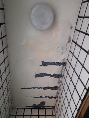 西瓜潘 -  西瓜潘 -