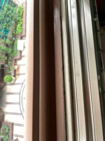 李小姐 -  李小姐 -