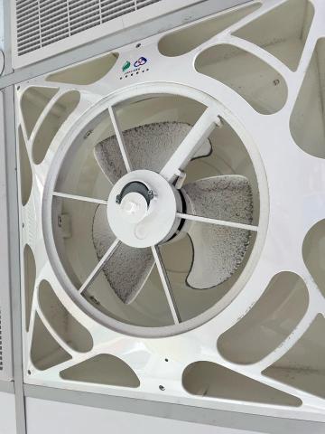 李小姐 -  李小姐 -