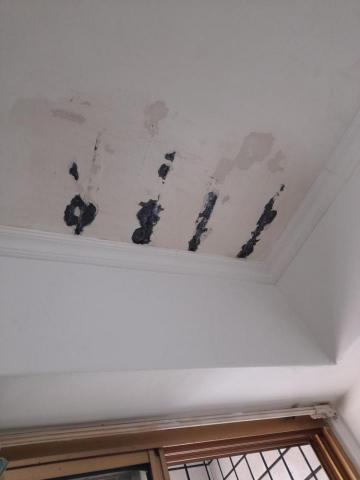 西瓜潘 -  西瓜潘 -